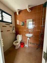 Blk 135 Bishan Green (Bishan), HDB 5 Rooms #581233791